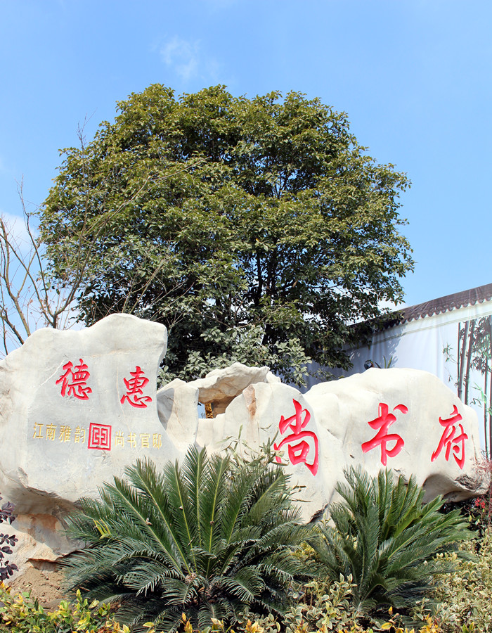 精品乱码一区二区三四区视频